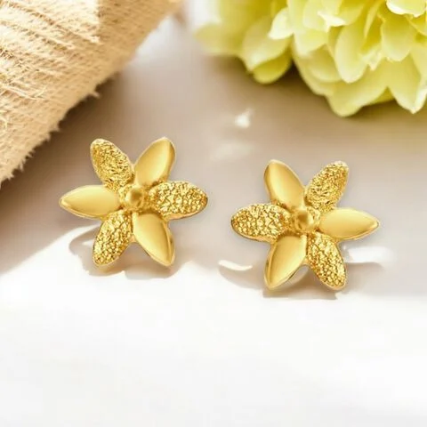 Dailywear Earrings