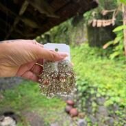 img_0027-2